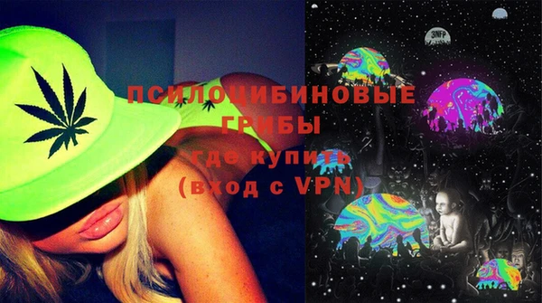 ешки Бронницы